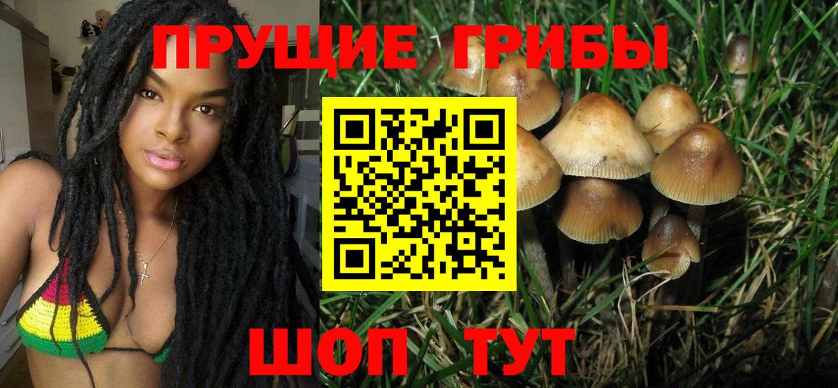 Галлюциногенные грибы GOLDEN TEACHER  Псилоцибиновые грибы Magic Shrooms  Гусев  что такое   Вход с VPN 